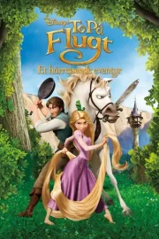 Tangled (2010) Dual Audio {Hindi-English} BluRay