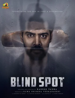 Blind Spot (2025) Hindi-DD5.1 (Multi-Audio) WeB-DL