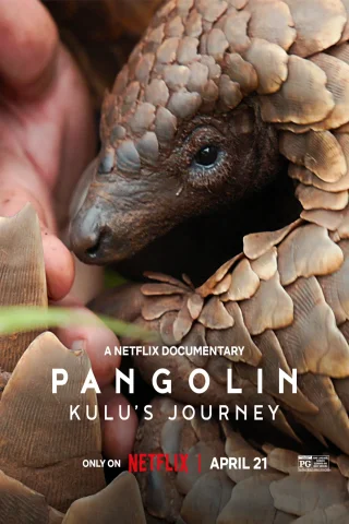 Pangolin: Kulu’s Journey (2025) WEB-DL Dual Audio [Hindi Dubbed (5.1 DD) & English]