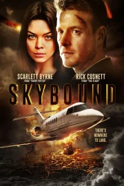 Skybound (2017) BluRay [Hindi (ORG 5.1) & English]