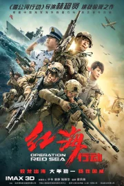 Operation Red Sea (2018) Dual Audio {Hindi-English}